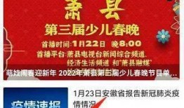 过年网友爆料视频下载网站,热门视频下载网站大盘点